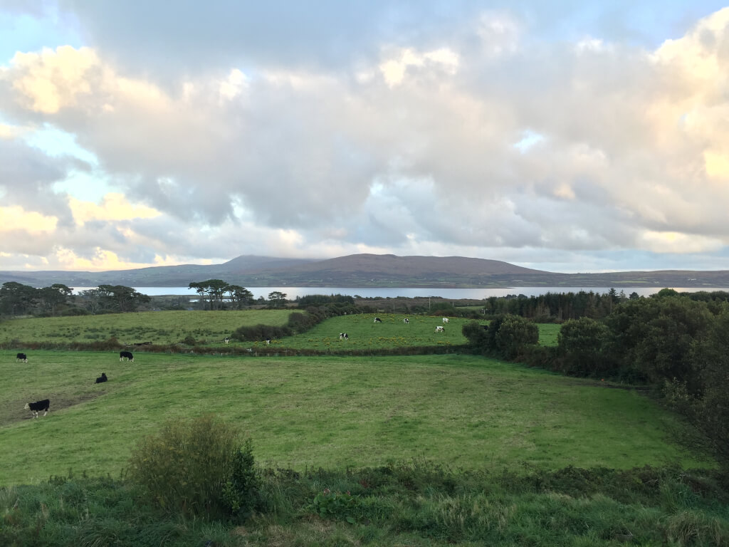 Our backyard view from the balcony!