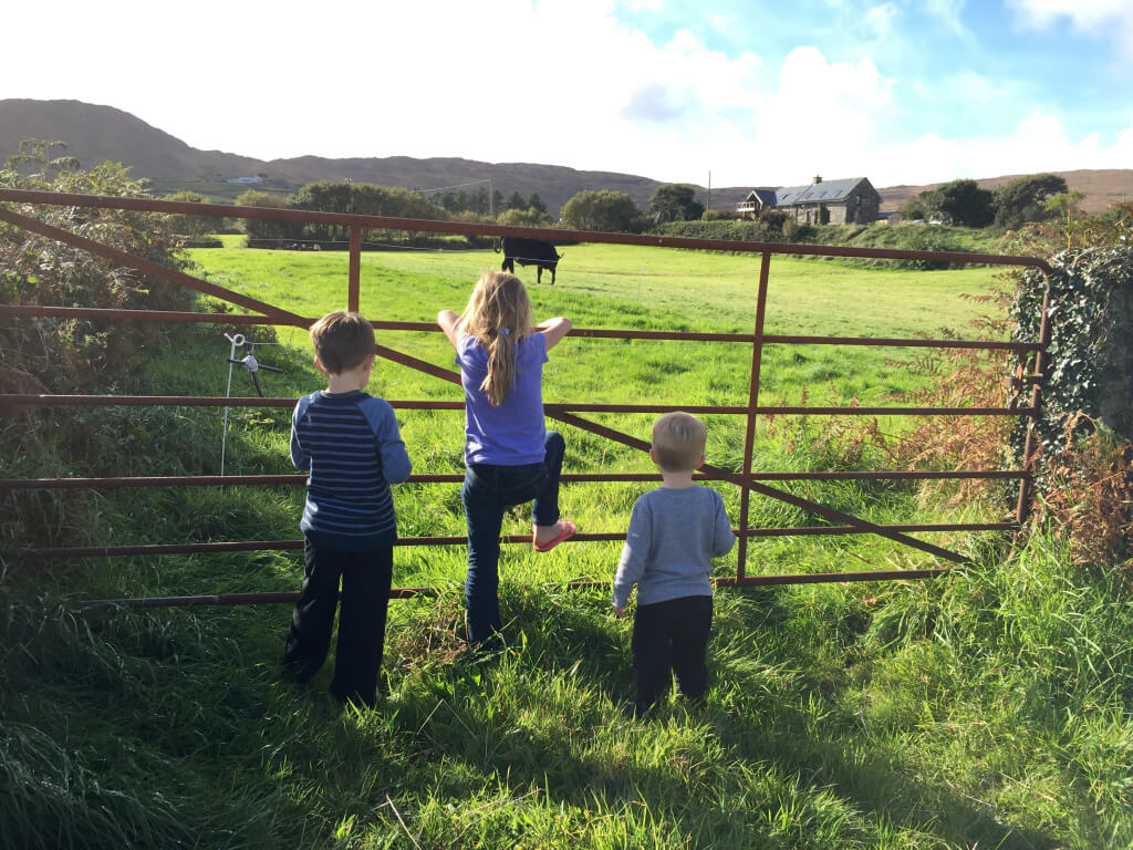 We had fun feeding the cows next to us! The cottage in the background is where we stayed!