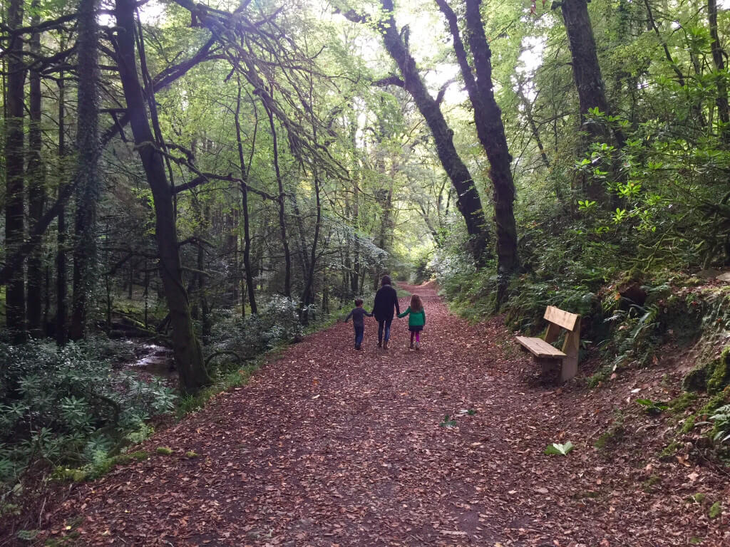 Brandon snapped this pic and I love it!