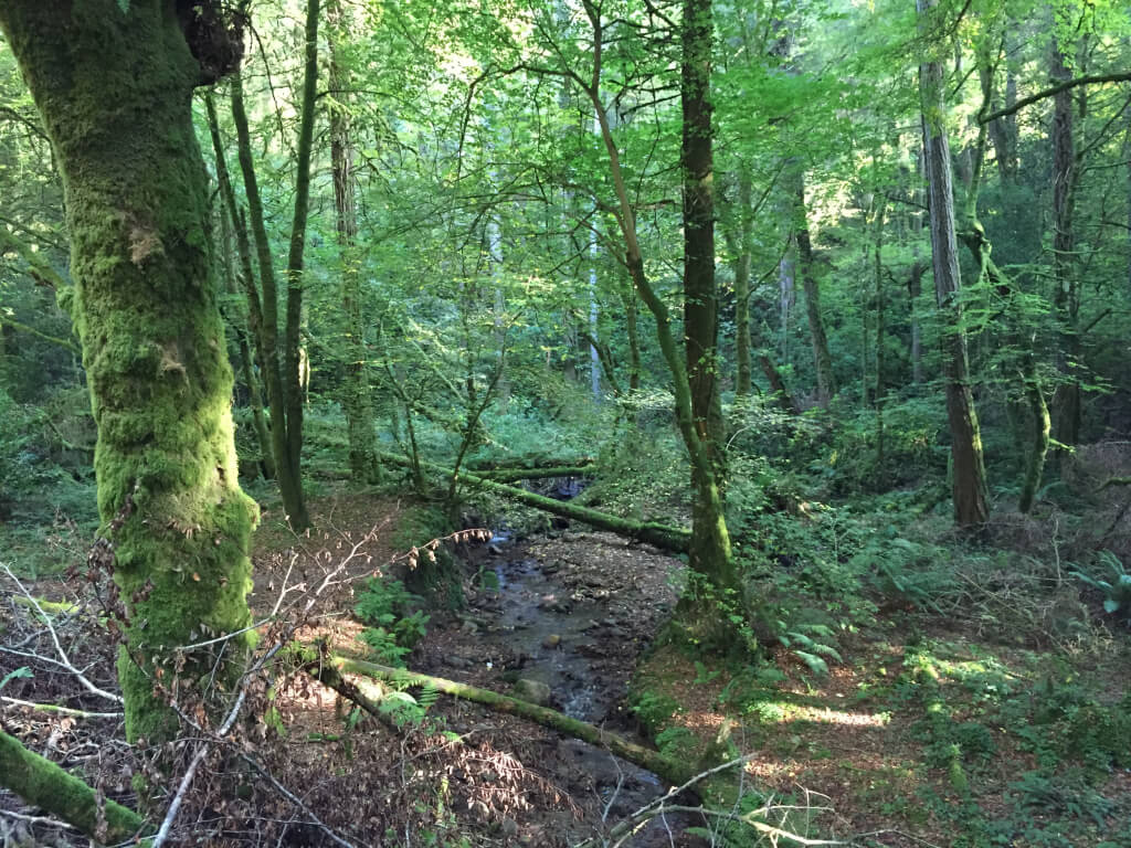 Breathtaking views the whole hike!