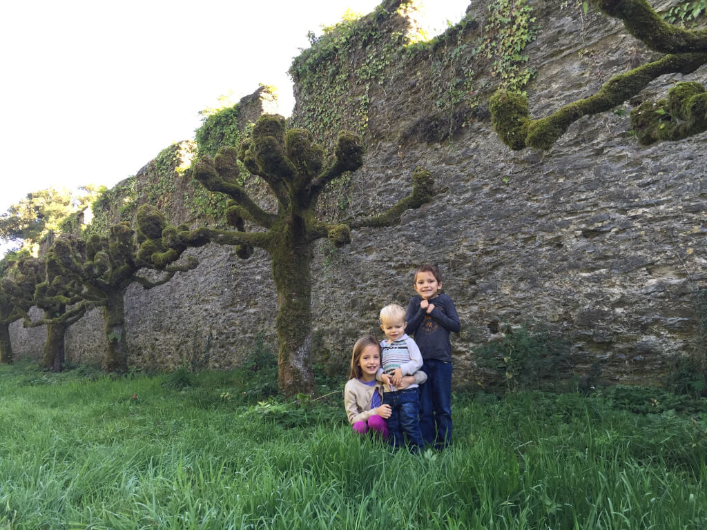 Funky trees (and adorable kids) right outside the Lismore Castle.