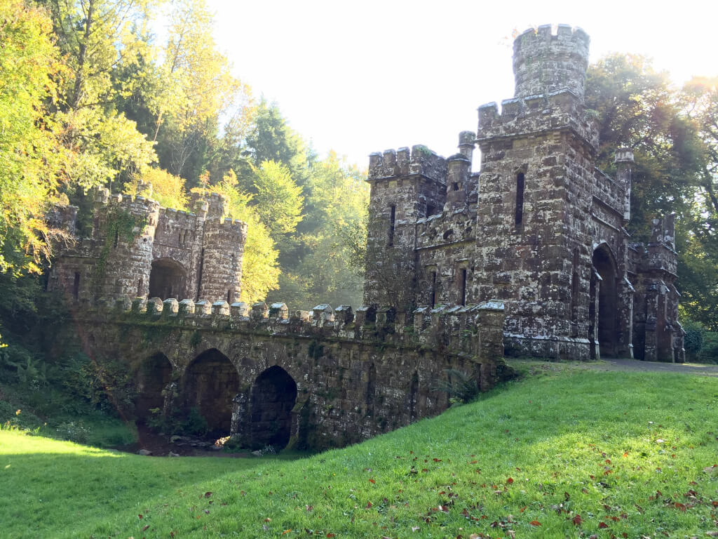 My favorite picture!