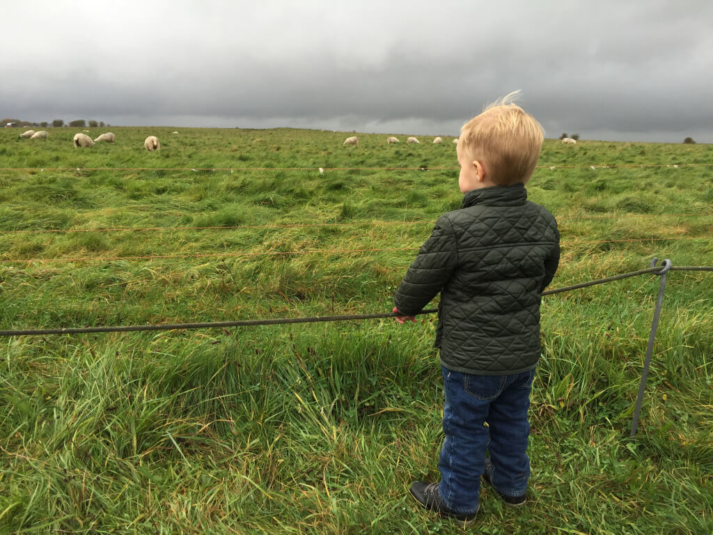 We were all admiring the stones and then we hear Grayson behind us saying "baa"!