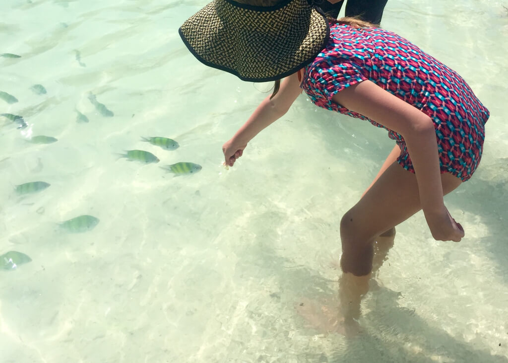 Liberty getting brave enough to feed the fish!