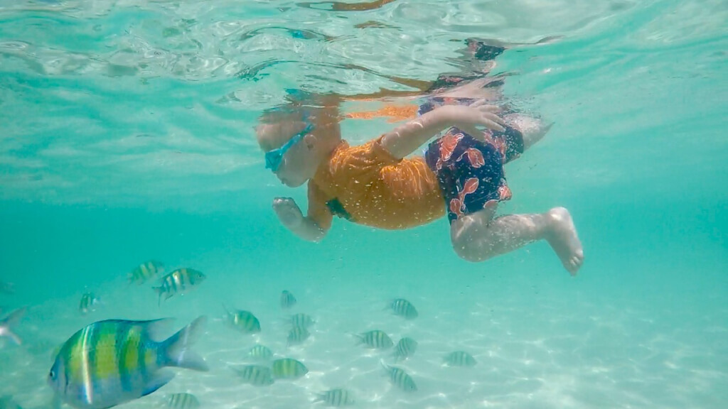 Grayson swimming with the fish!